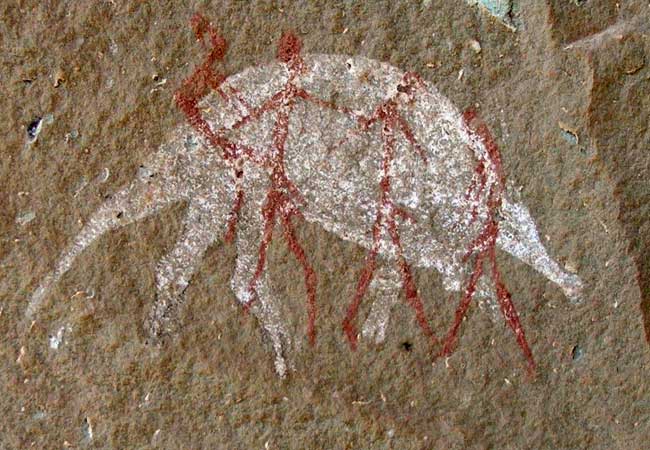 bushman rock art at battle cave injasuti